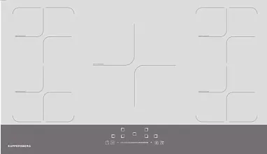 ICD 901